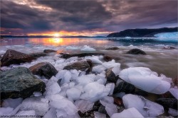 rhubarbes:  The last light over Greenland by Stefan Forster.