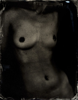  Niniane Kelley ph. - tintypes torso 2012 