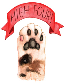 meganlynnkott:  High Four!   My book comes out today!  I’m