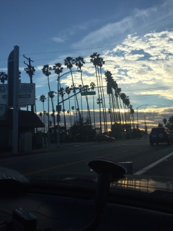 hairyarabgirl:  A day wit Xay 📍Los Angeles 