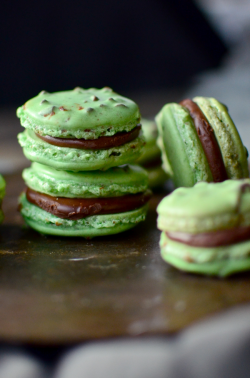 nom-food:  Mint chocolate chip macarons