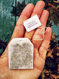 championsaremade:  My tea bag is very appropriate for today 