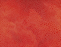 blastedheath:  Yayoi Kusama (Japanese, b. 1929), Dots Obsession,