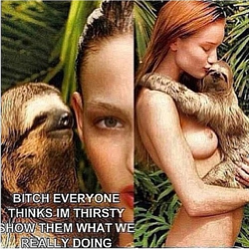 Had to steal this one @stev0o0000 lmfaooooooo ….. #laughing #jokes #killit #sloth #naked #nude #thirsty #bitch #hahaha #dying