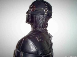 greyhanke