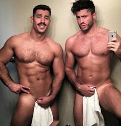 boxerbeograd:  Muscle couple 