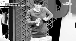 비스트