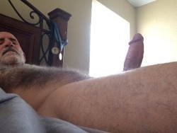 hunghairybear