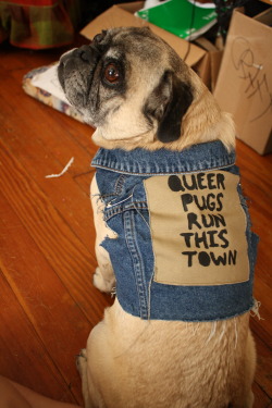 gross-femme:  Kate made Cheech this perfect vest and backpatch