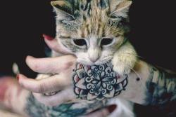 art-cats-tats-and-other-favs:  art-cats-tats-and-other-favs
