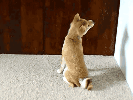 MINIGAG