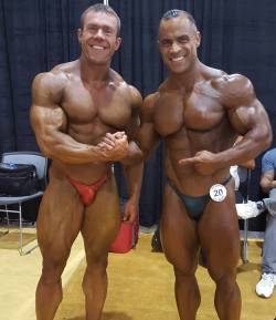 welcometomuscleville:  themuscleworshipdiaries:  American bodybuilders