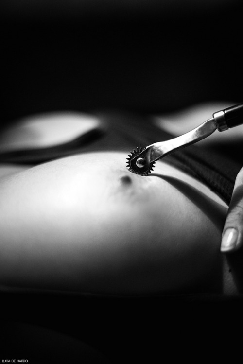 lucadenardo:  The Wartenberg Wheel (The BDSM Project)