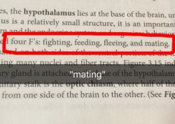 theneuroscienceside:   capamxrica:  is my neuroscience book for