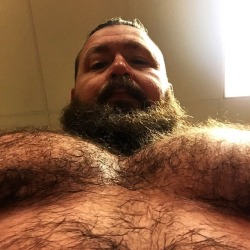 chadillacjax:  Furry mitties #beardedgay #hairymuscle #chesticles