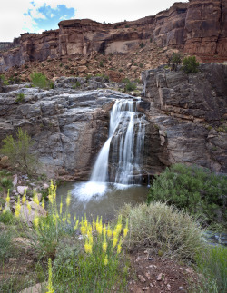 rhamphotheca:  mypubliclands:  Dominguez-Escalante NCA  Known