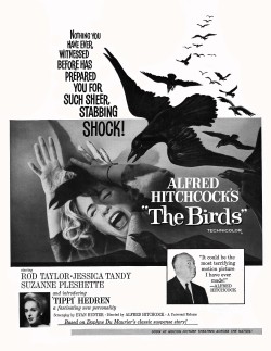 ohthentic:  dtxmcclain:  The Birds, 1963  Oh