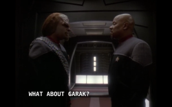 throw-tribbles-at-them:  Worf is the best thing that ever happened