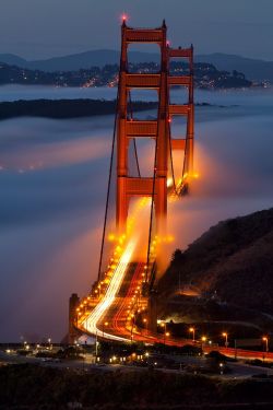 a-garota-de-capa-vermelha:  Landscape… San Francisco by night,