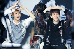 enjoy212ne1:  Baeksoo !!