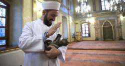 tanyushenka:Photographs: Istanbul mosque, Turkey. (sources: dailysabah.com