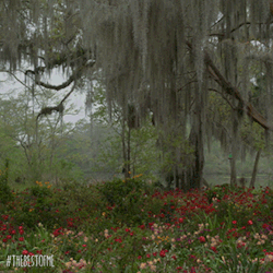 thebestofmemovie:  Dawson and Amanda reignite the flames of first