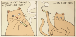 Me cat smokes like the second one but he’s usually not as smiley