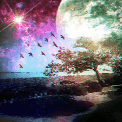 where is my mind?﻿