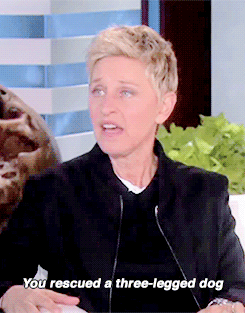:  Jessica Chastain talks about her dog, Chaplin, on The Ellen