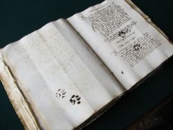 medieval:   Curious Cat Walks Over Medieval Manuscript Inky paw