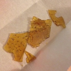 the-stoner-sage:  coralreefer420:  26 dabs today. It’s on.