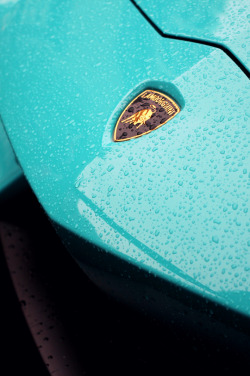 exclusive-pleasure:  Lamborghini