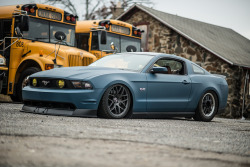 ford-mustang-generation:  DSC_9880 by Rob Rabon Photography on