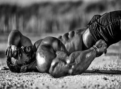 maximumalpacaking:  