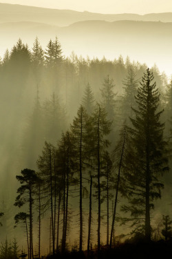 leebarguss:  Trossachs light… (by David Mould) 