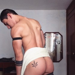 elcabrondealado:  Getting ready for breakfast 🍰 GoTumblr for