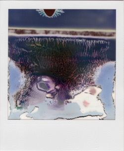 phiix: william miller ruined polaroids 