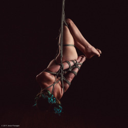 somehowbreathtaking: jesseflanagan:   Ashley in MyNawashi rope