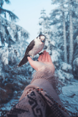 elizabethgadd:Climbed a mountain, made a friend.