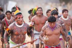 Kayapo   Brazilians, via Encontro de Culturas.    Olhos atentos para o centro aldeia. Rostos e corpos diferentes compõem a grande roda que espera pela entrada das máscaras Mebêngôkre-Kayapó para o ritual kôkô. Pouco a pouco, macacos, tamanduás-bandeira