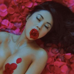 mikeohrangutang:Black Roses(red) in my garden ;), makeup @cristinapilo