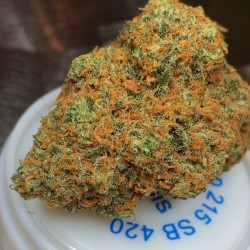 greenworkssd:  #619superGreenCrack #greencrack in at #greenworkssd