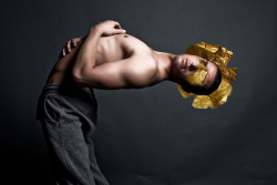 CHERUB (SAMUEL) gold series - halo photographed by landis smithers