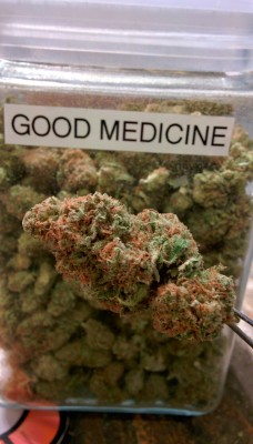 greendreamhealthservices:  Good medicine is a 2:1 CBD to THC