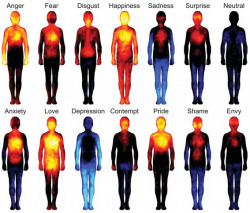 Imcredible…. How our energies change with emotions.