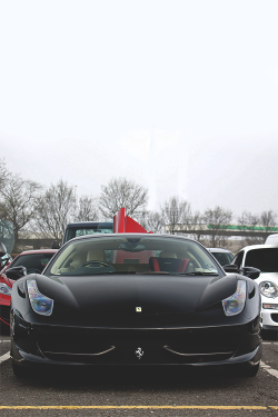 linear5000:   wearevanity:  | Black Stallion | ©       (via