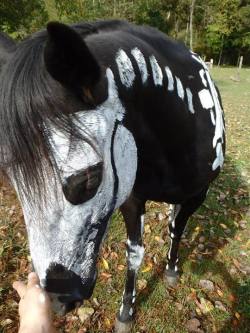 moshita:  Raven the Skeleton Horse  Sandy Cramer of Knot Just