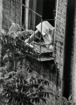 last-picture-show:André Kertész, Woman Reading in the Fire