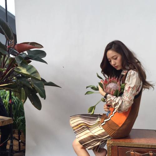 krystalxox:    160414 Krystalâ€™s instagram | vousmevoyez    