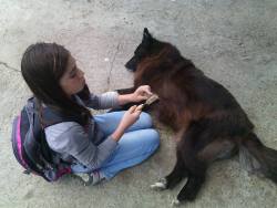 awwww-cute:  Little girl brushing a stray dog on the way home